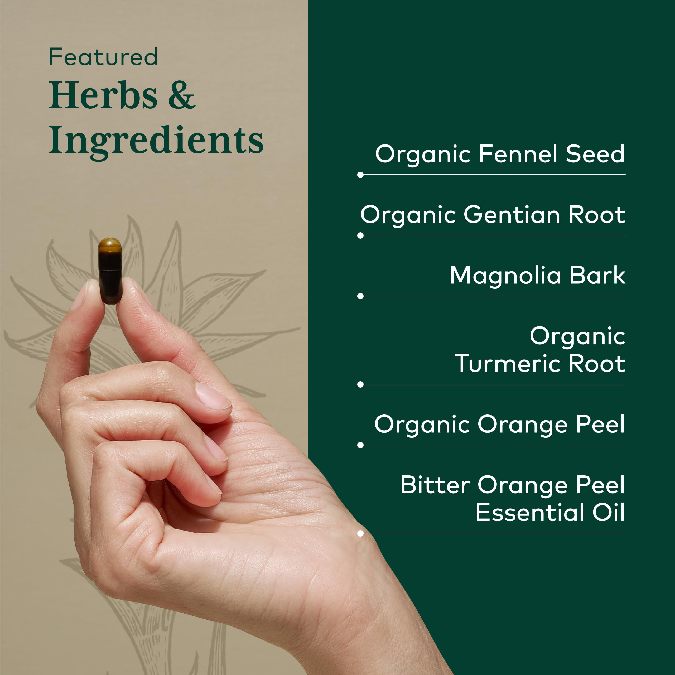 GAIA HERBS PRO MMC Restore: semillas de hinojo visibles para aroma digestivo suave