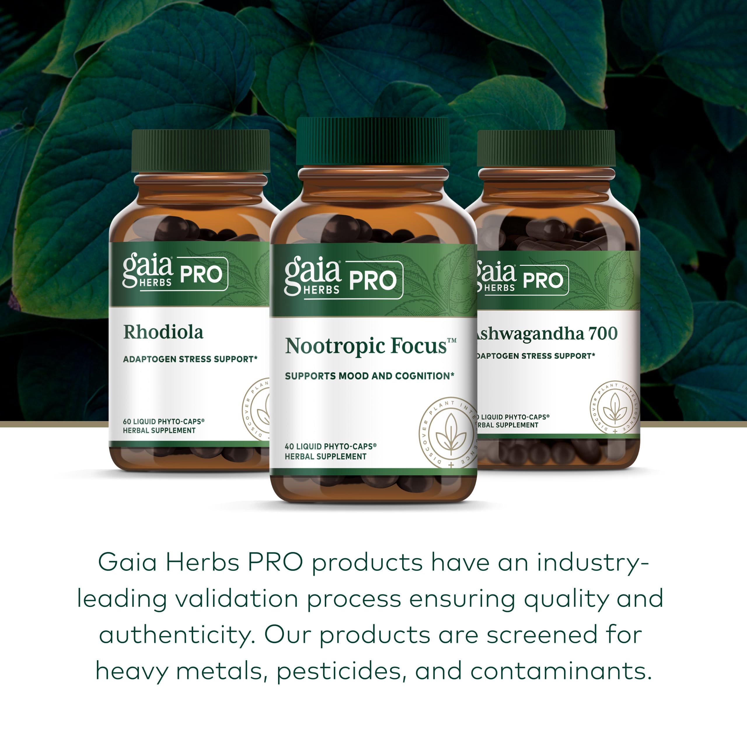 GAIA HERBS PRO Nootropico Enfoque: hojas de ginkgo en la formula