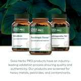 GAIA HERBS PRO Nootropico Enfoque: hojas de ginkgo en la formula