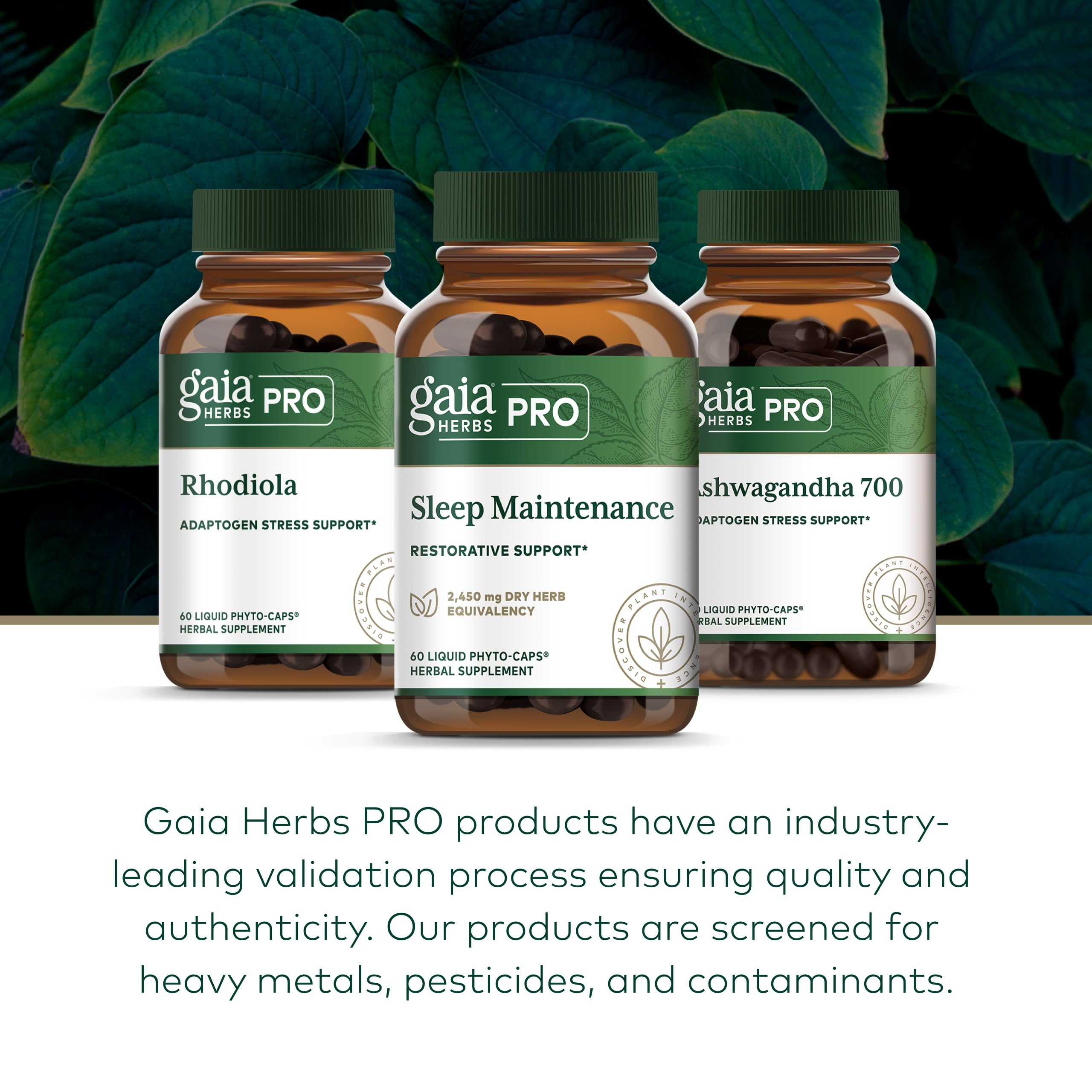 Control de calidad riguroso en Gaia Herbs PRO para cada lote