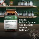 Pruebas de calidad por lote en GAIA HERBS PRO.