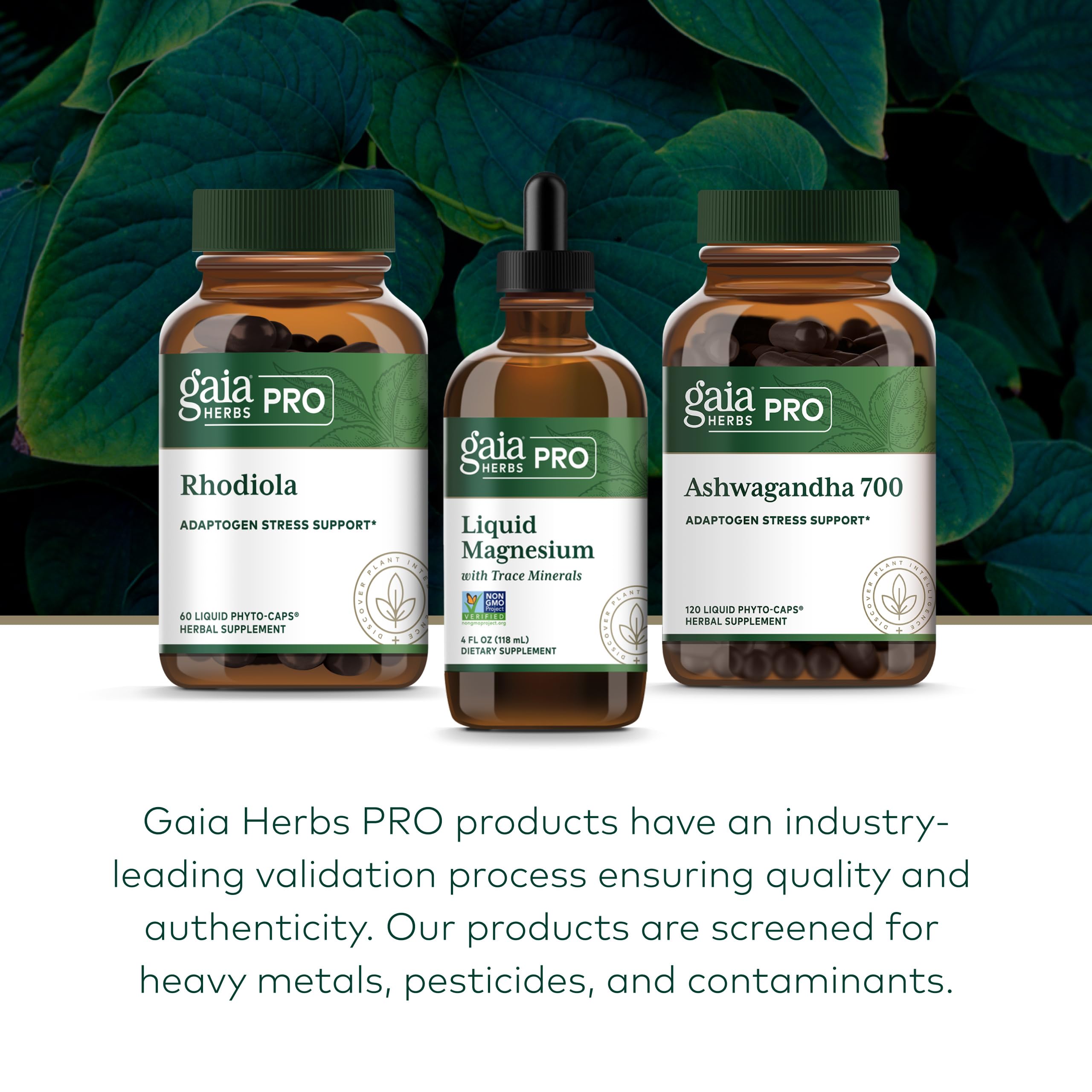 Gaia Herbs PRO: primer plano de control de calidad para pureza del producto.