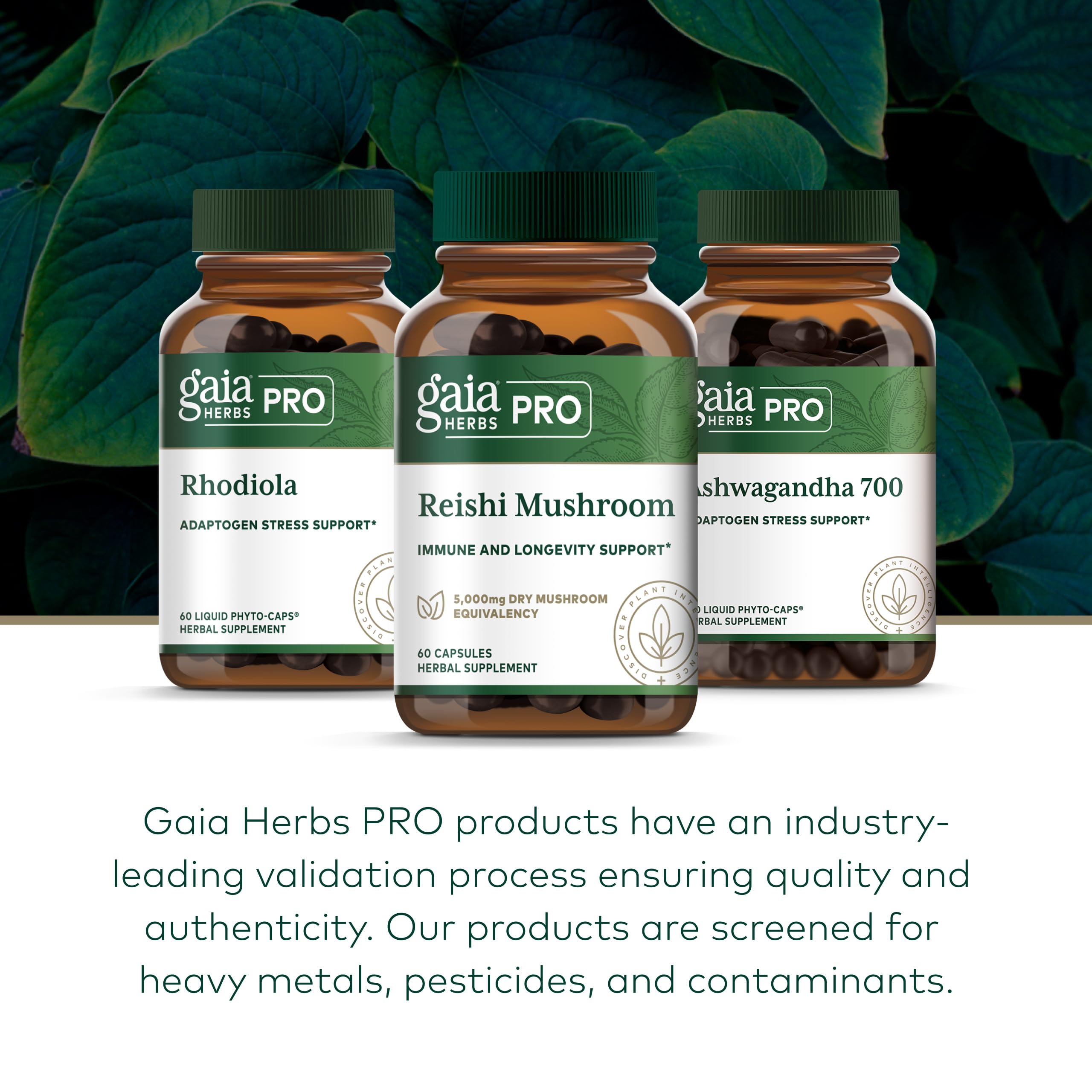 GAIA HERBS PRO Reishi: sello regenerativo certificado en la etiqueta