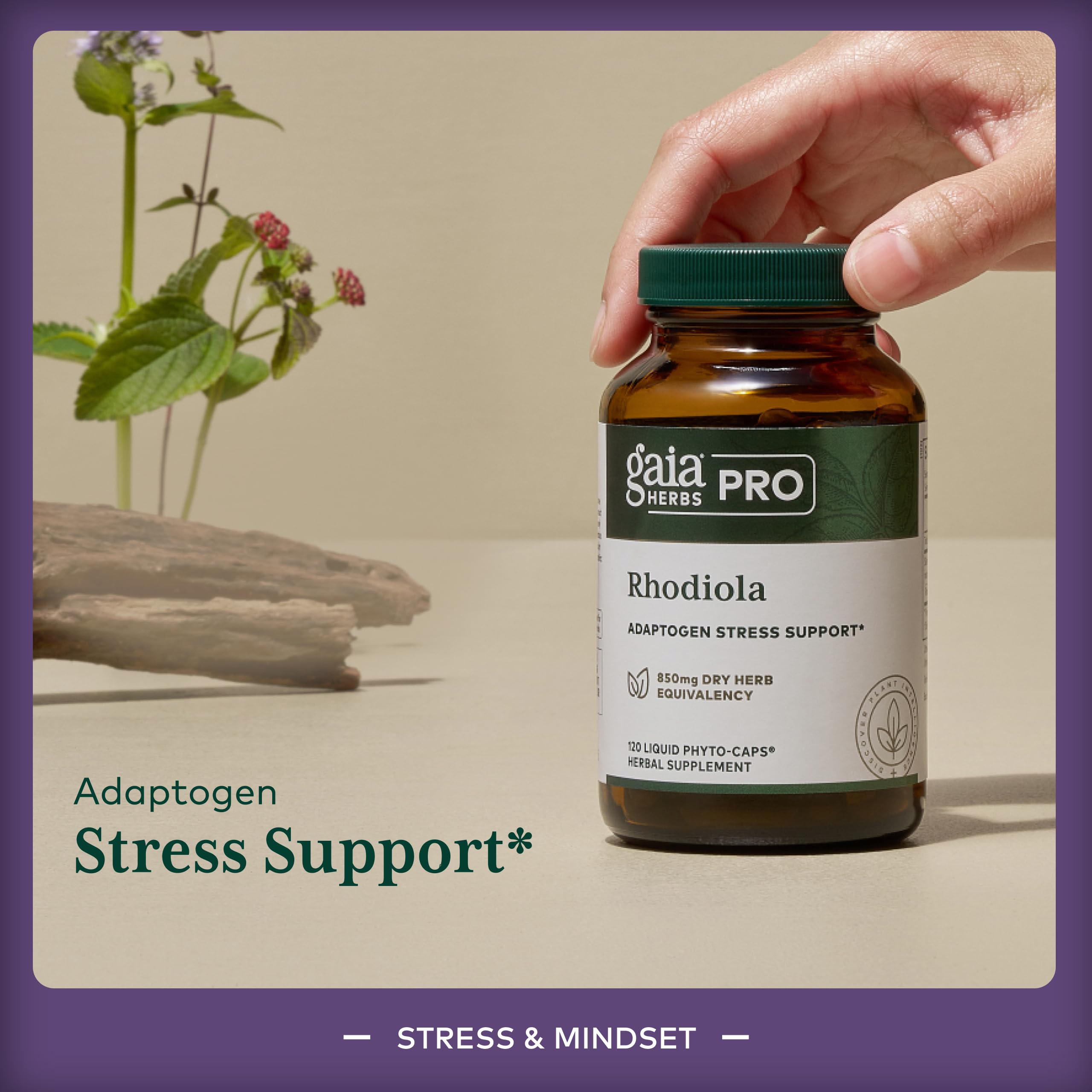 Gaia Herbs PRO Revive HPA: cápsulas en la mano para rutina matutina