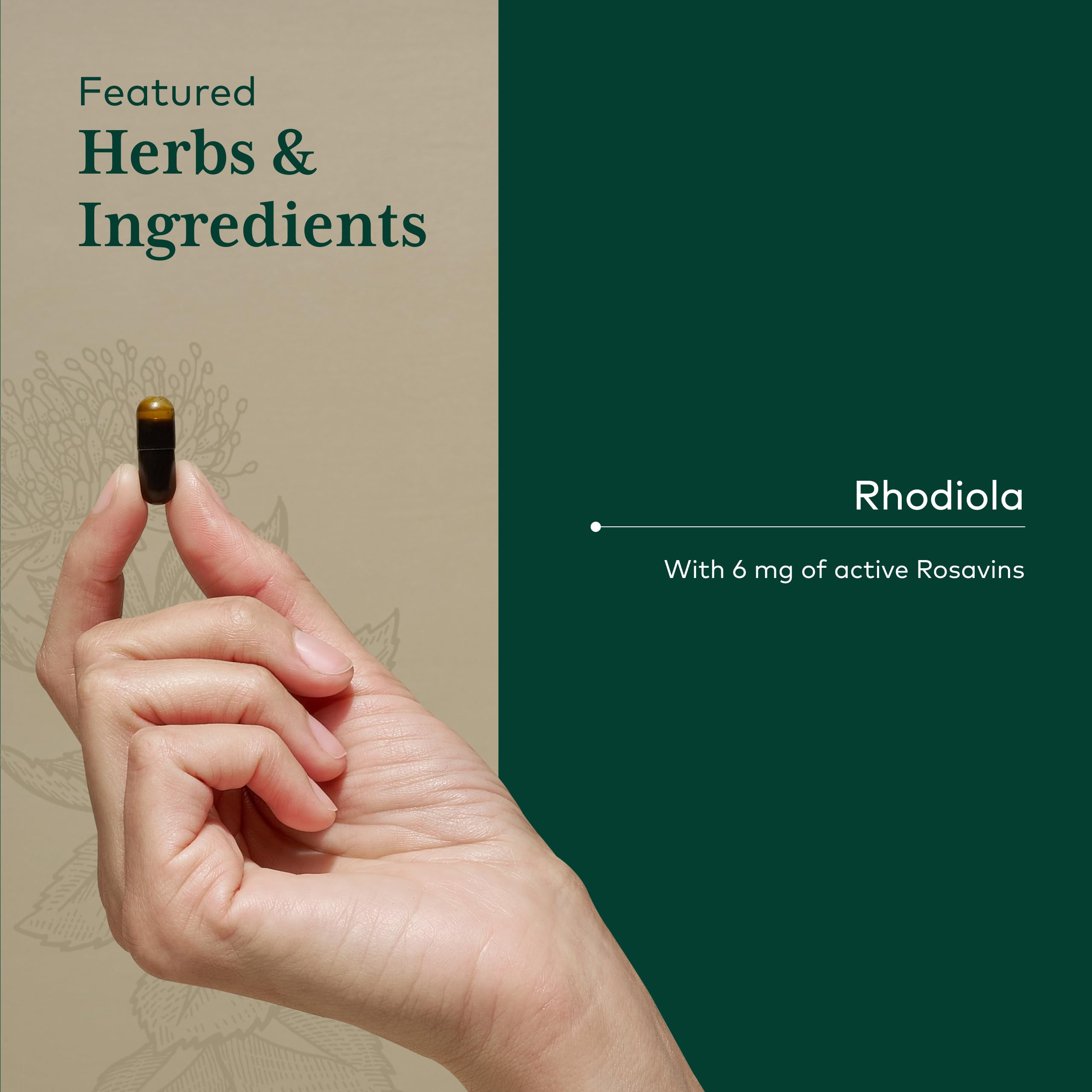 Gaia Herbs PRO Rhodiola, pruebas de calidad: control de lote