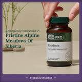Gaia Herbs PRO Rhodiola, etiqueta: extracto de raíz para equilibrio dinámico