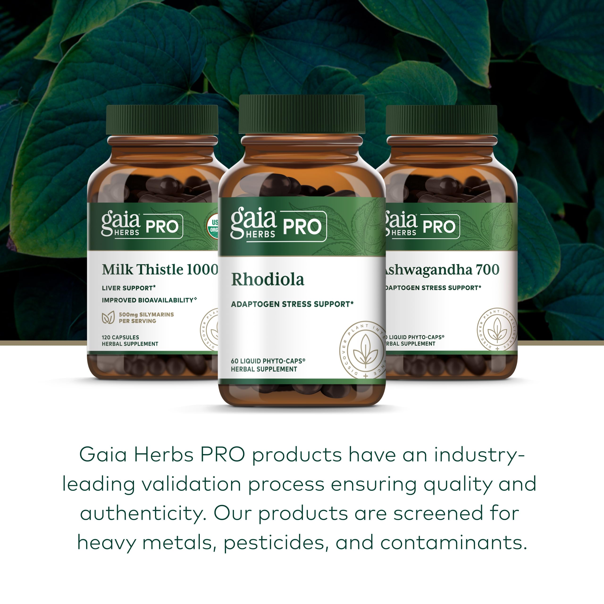 Gaia Herbs PRO Rhodiola, uso diario recomendado para energía equilibrada