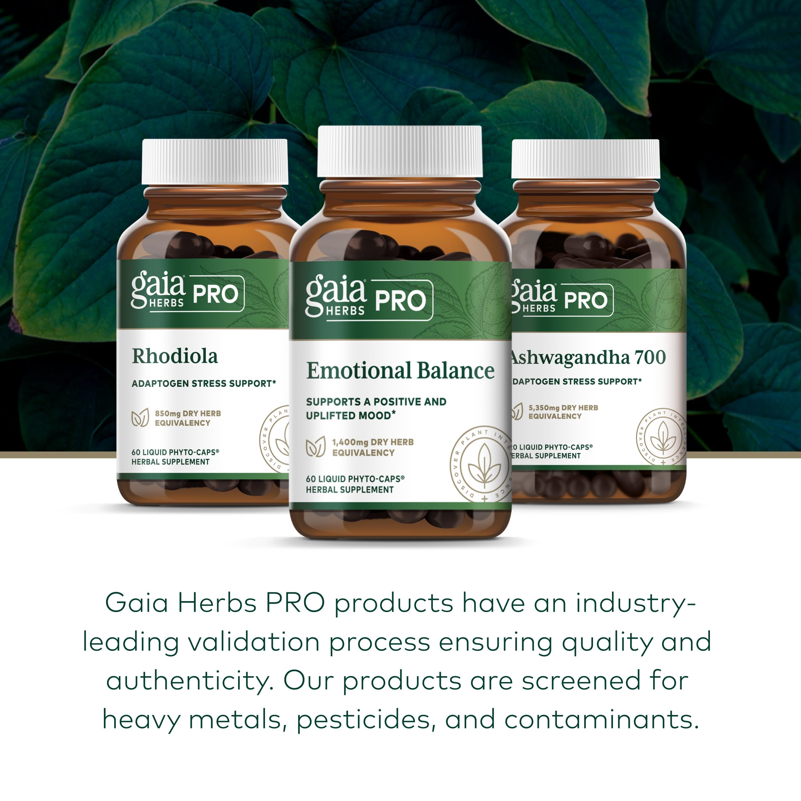 Gaia Herbs PRO Schisandra, cápsulas para claridad mental.