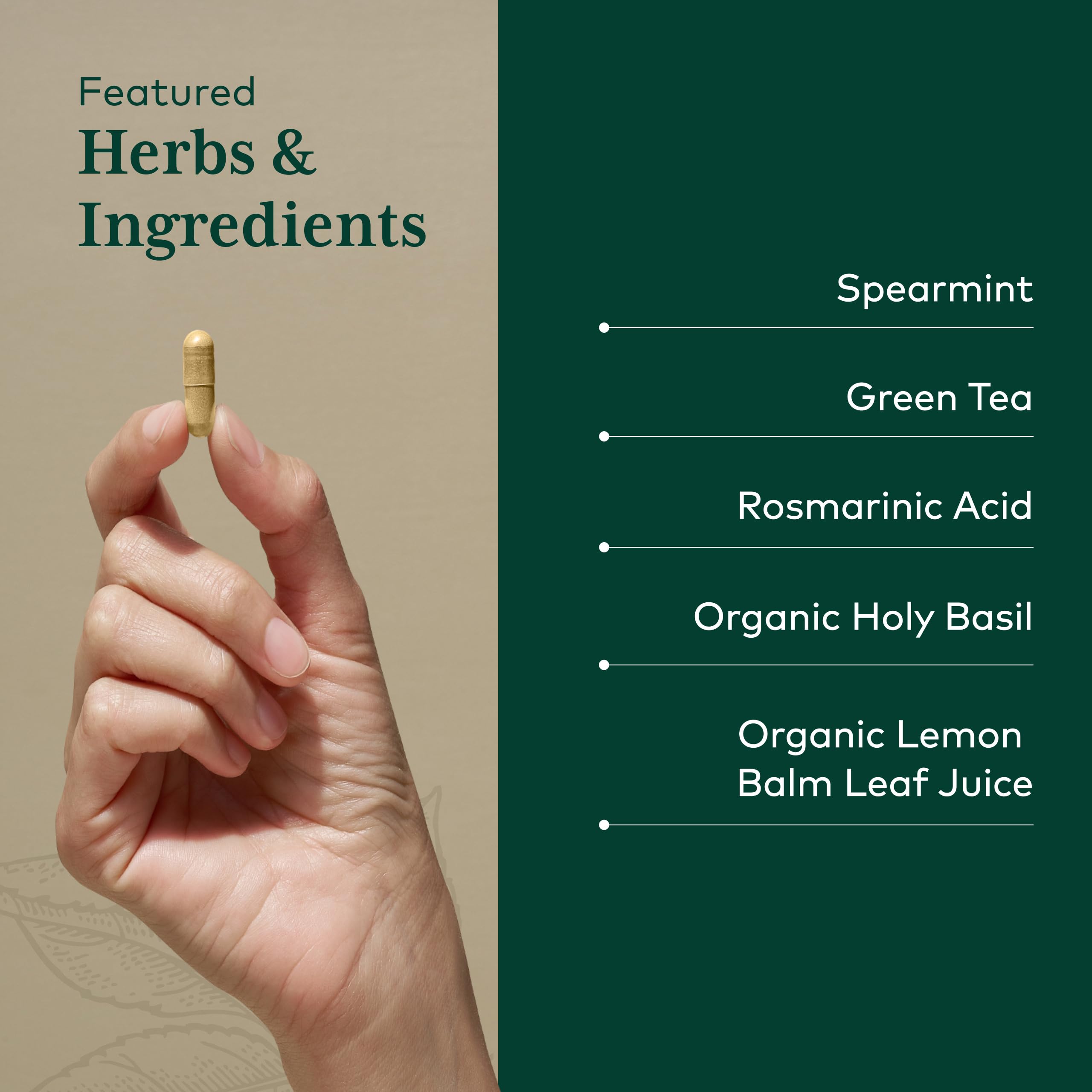 Gaia Herbs PRO Somni-Mint: extracto de té verde para apoyo suave durante la noche.