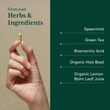 Gaia Herbs PRO Somni-Mint: extracto de té verde para apoyo suave durante la noche.