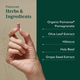 Gaia Herbs PRO Complejo Sistólico, detalle de dosis diarias sugeridas.
