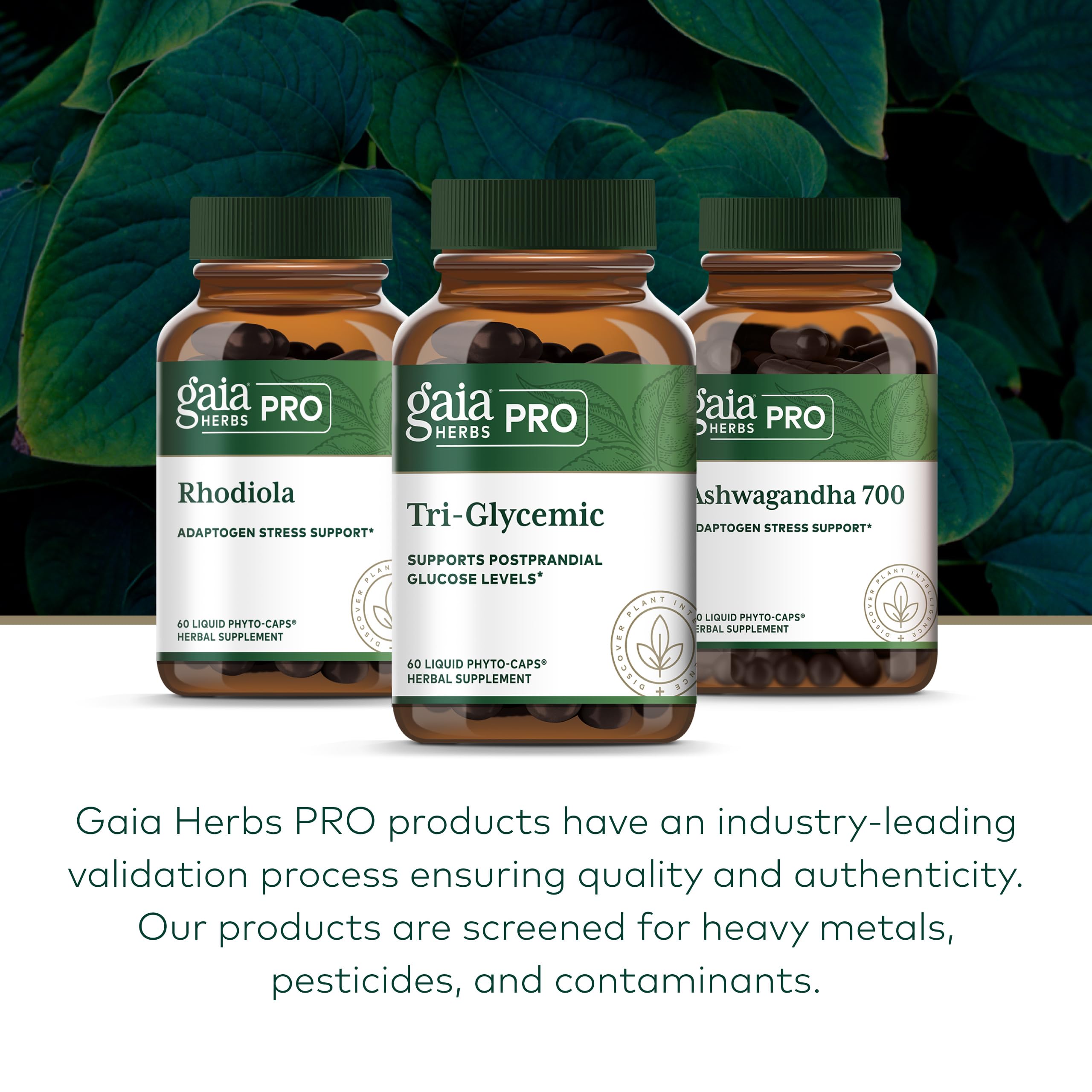 Finca regenerativa de Gaia Herbs, cultivo sostenible de hierbas.