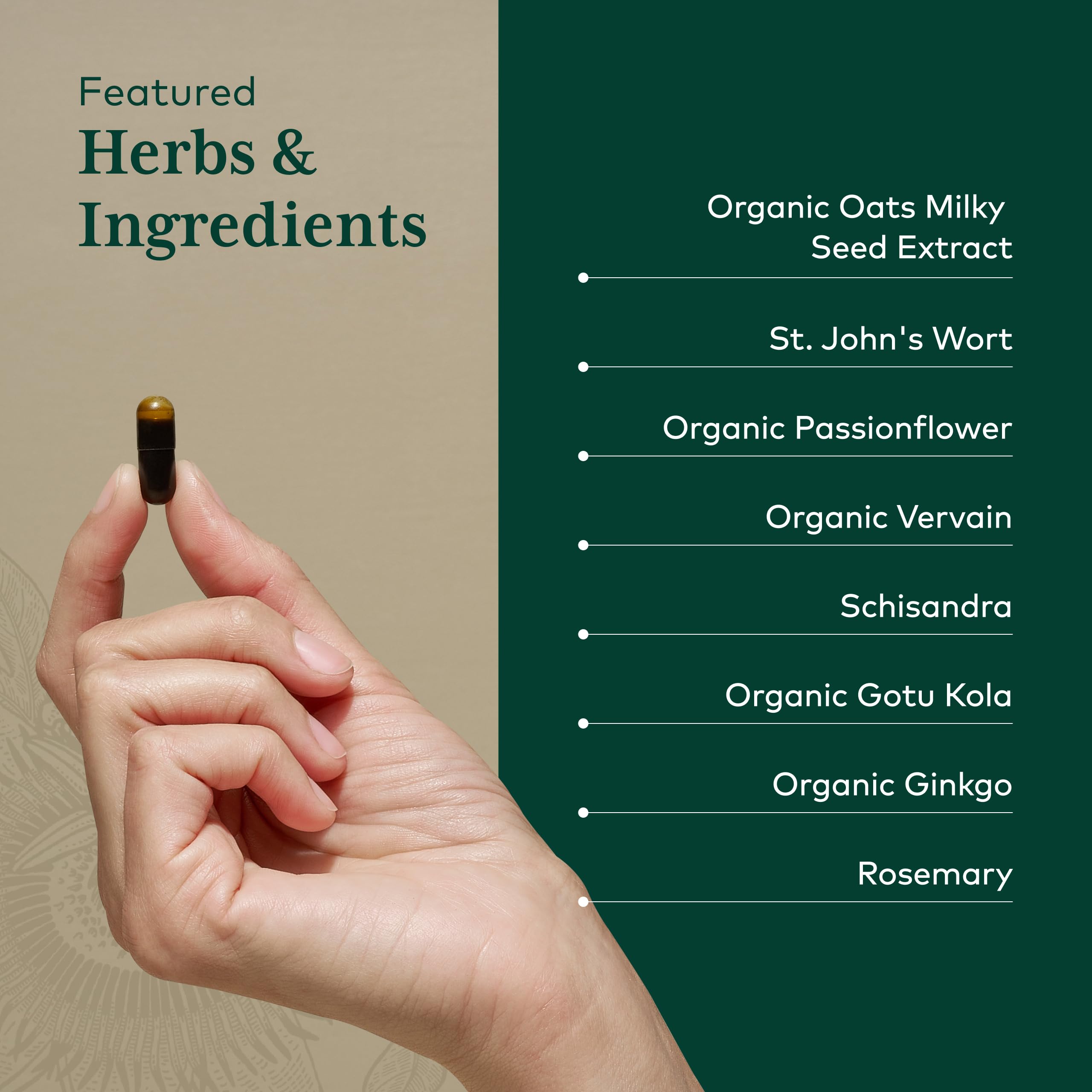 Gaia Herbs PRO Verbena, cápsulas para calma y enfoque suave.