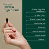 Gaia Herbs PRO Verbena, cápsulas para calma y enfoque suave.