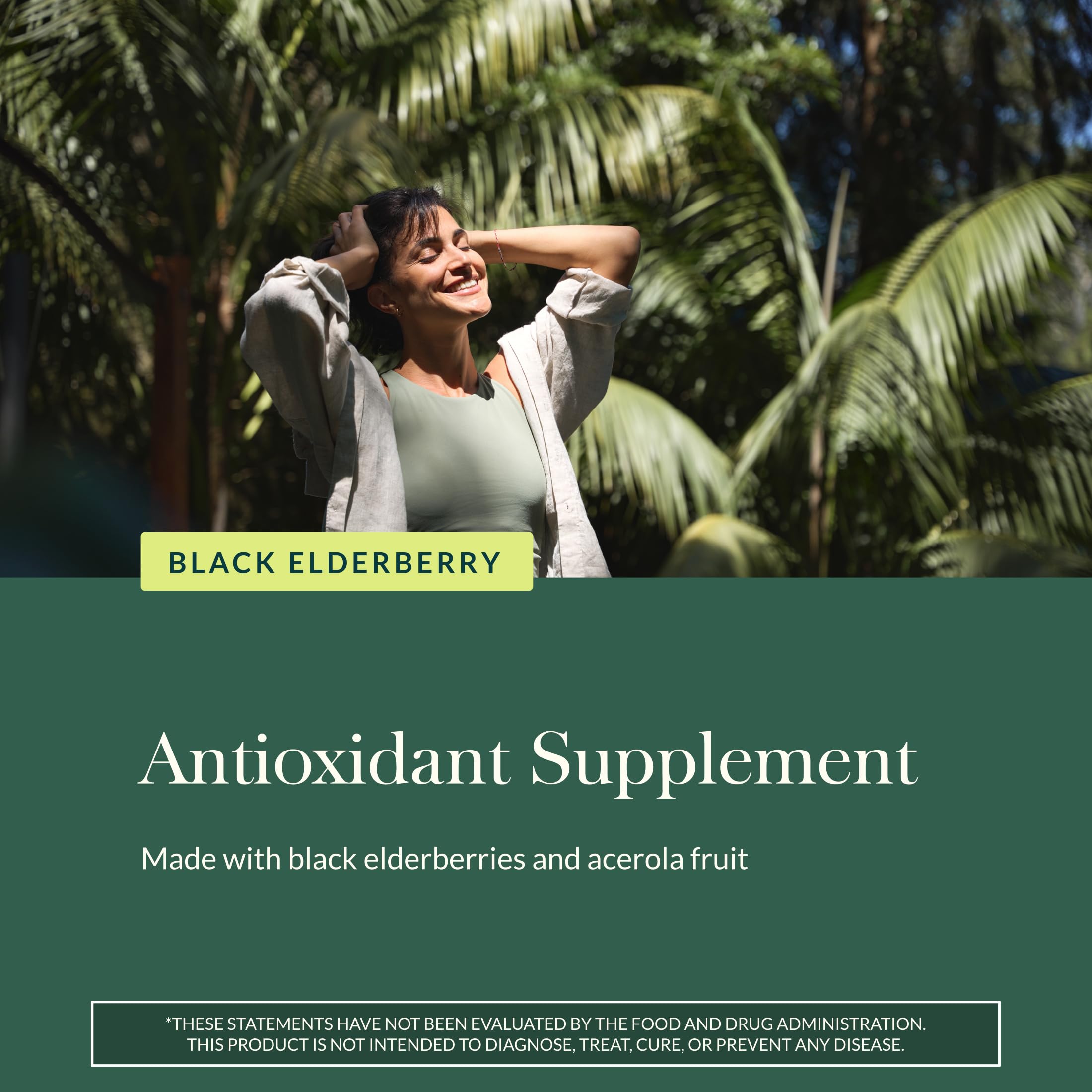 Concentración de jugo y filtración para extracto de sauco de Gaia Herbs