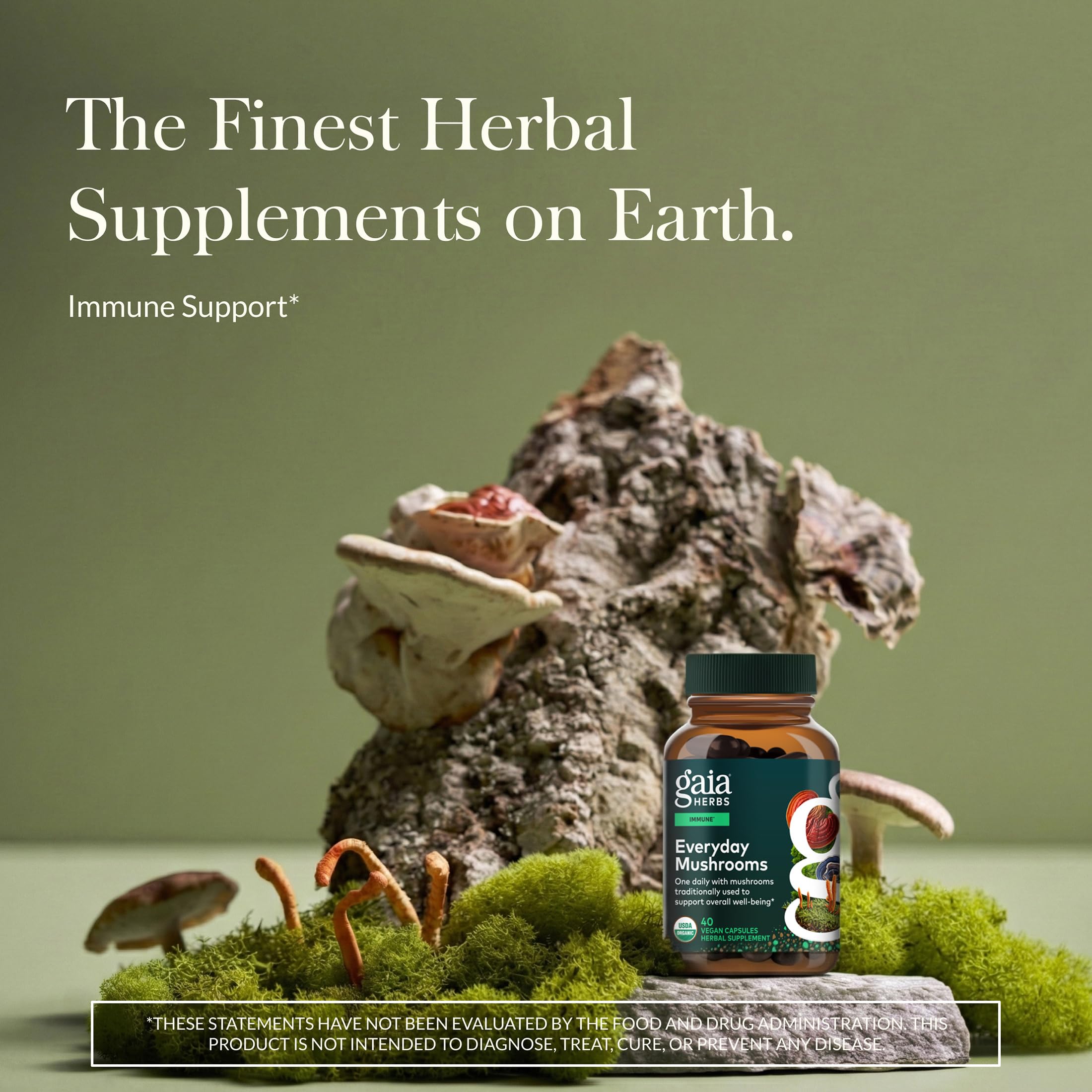 Gaia Herbs Reishi cápsula en primer plano para consumo diario.