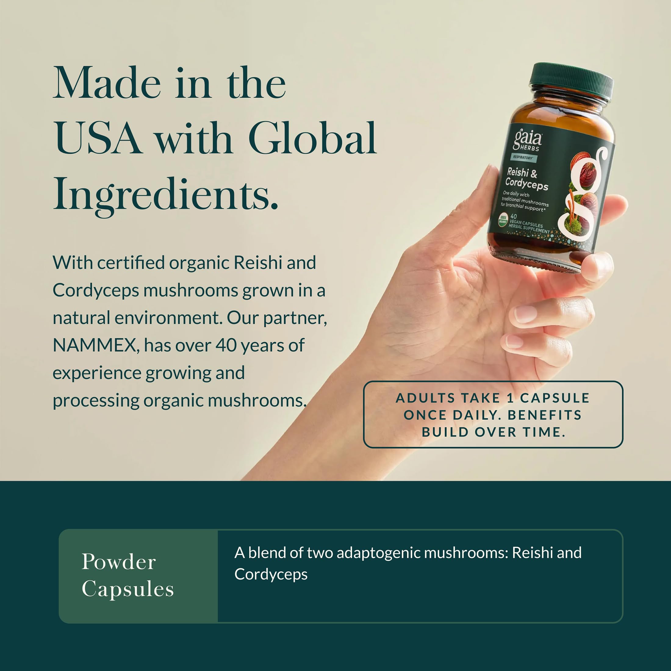 Gaia Herbs Reishi & Cordyceps: ingredientes clave de hongos.