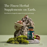 Gaia Herbs Reishi Mushroom, etiqueta detallada que destaca origen y uso tradicional