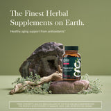 GaIa Resveratrol, raíz de Polygonum cuspidatum, ingrediente antioxidante clave.