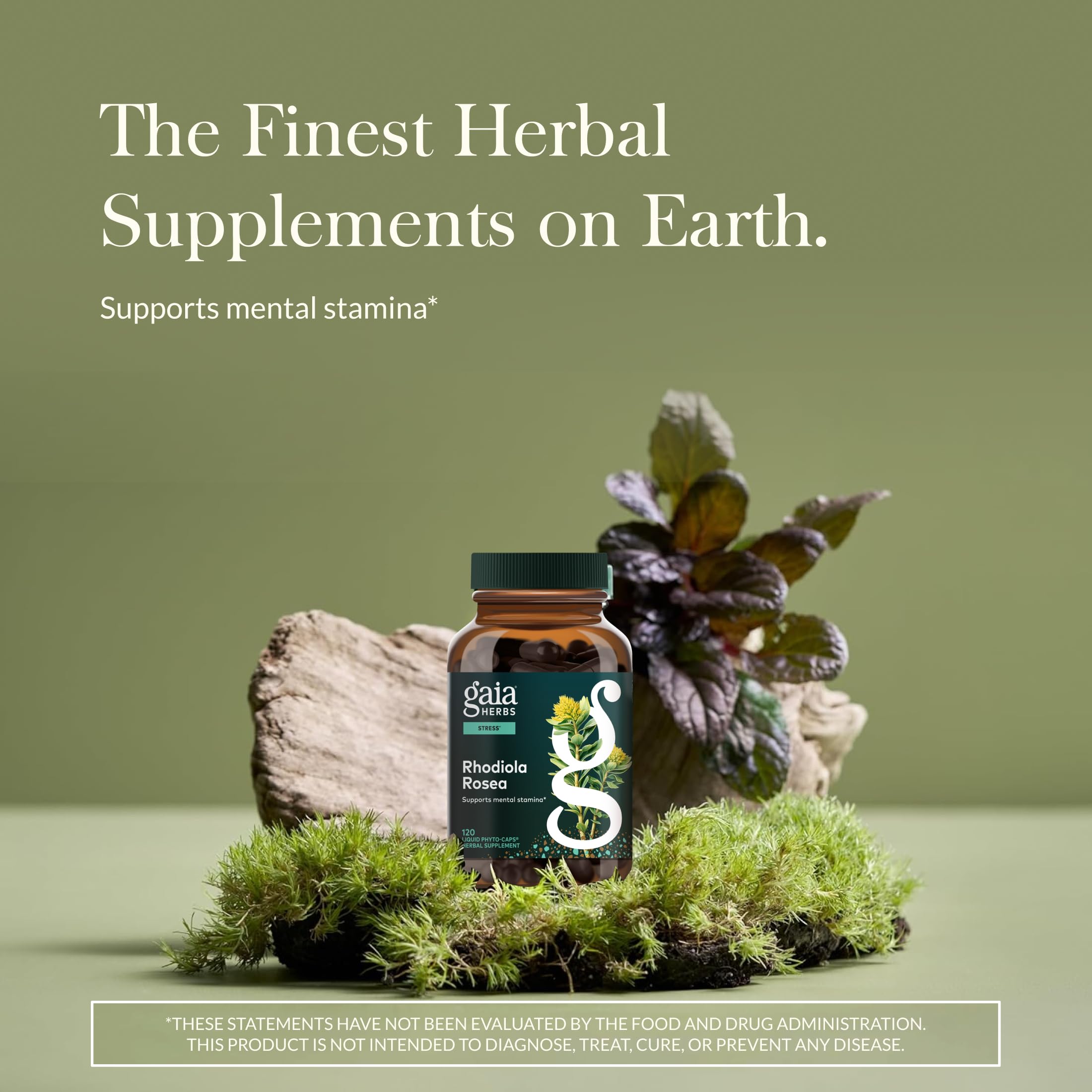 Gaia Herbs Rhodiola Rosea: cápsulas fáciles de tragar para energía sostenida