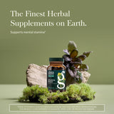 Gaia Herbs Rhodiola Rosea: cápsulas fáciles de tragar para energía sostenida