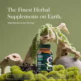 Gaia Herbs Sauco Negro, cápsulas listas para consumo diario.
