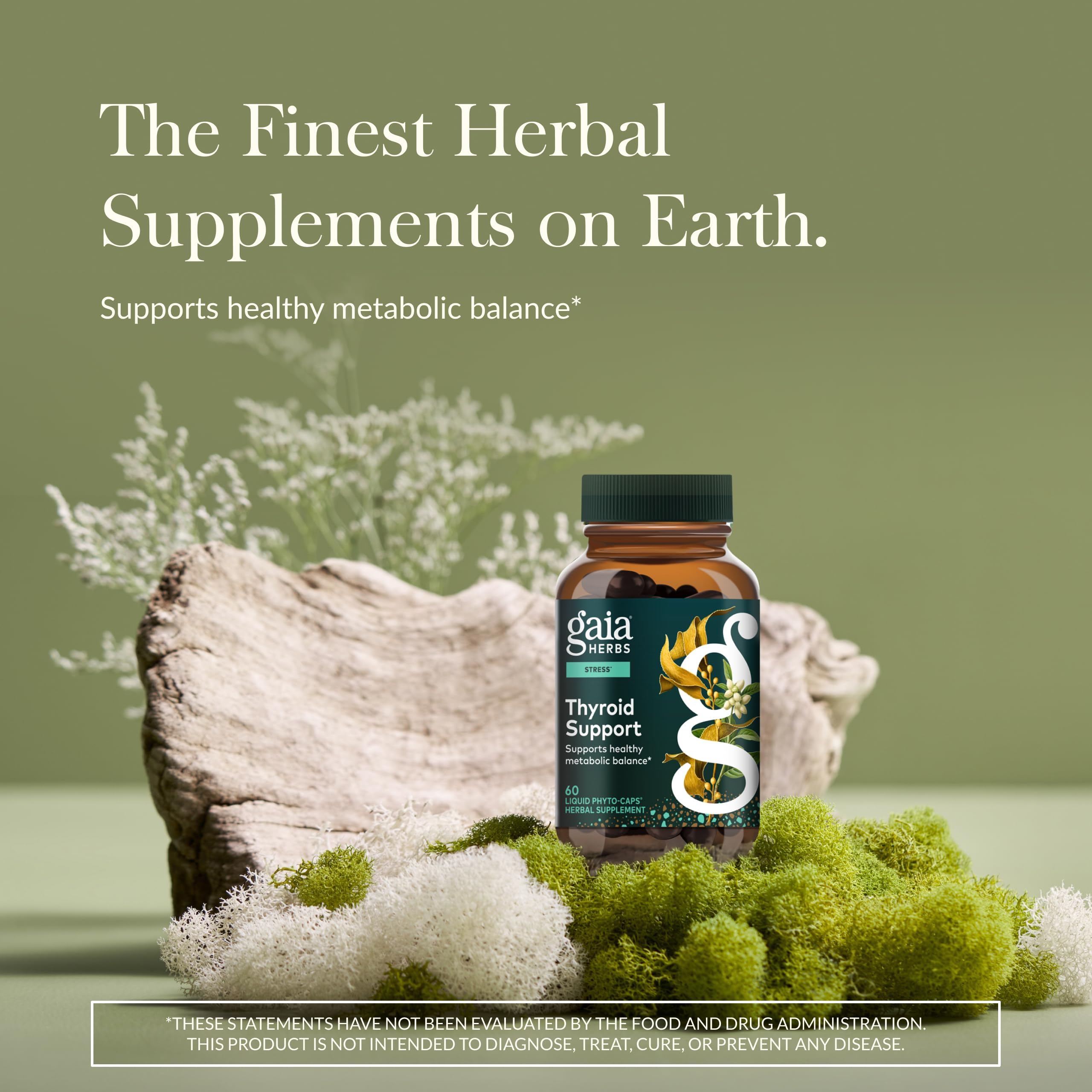 Gaia Herbs Thyroid Support, alga kelp en primer plano, posible nutriente para la función tiroidea.