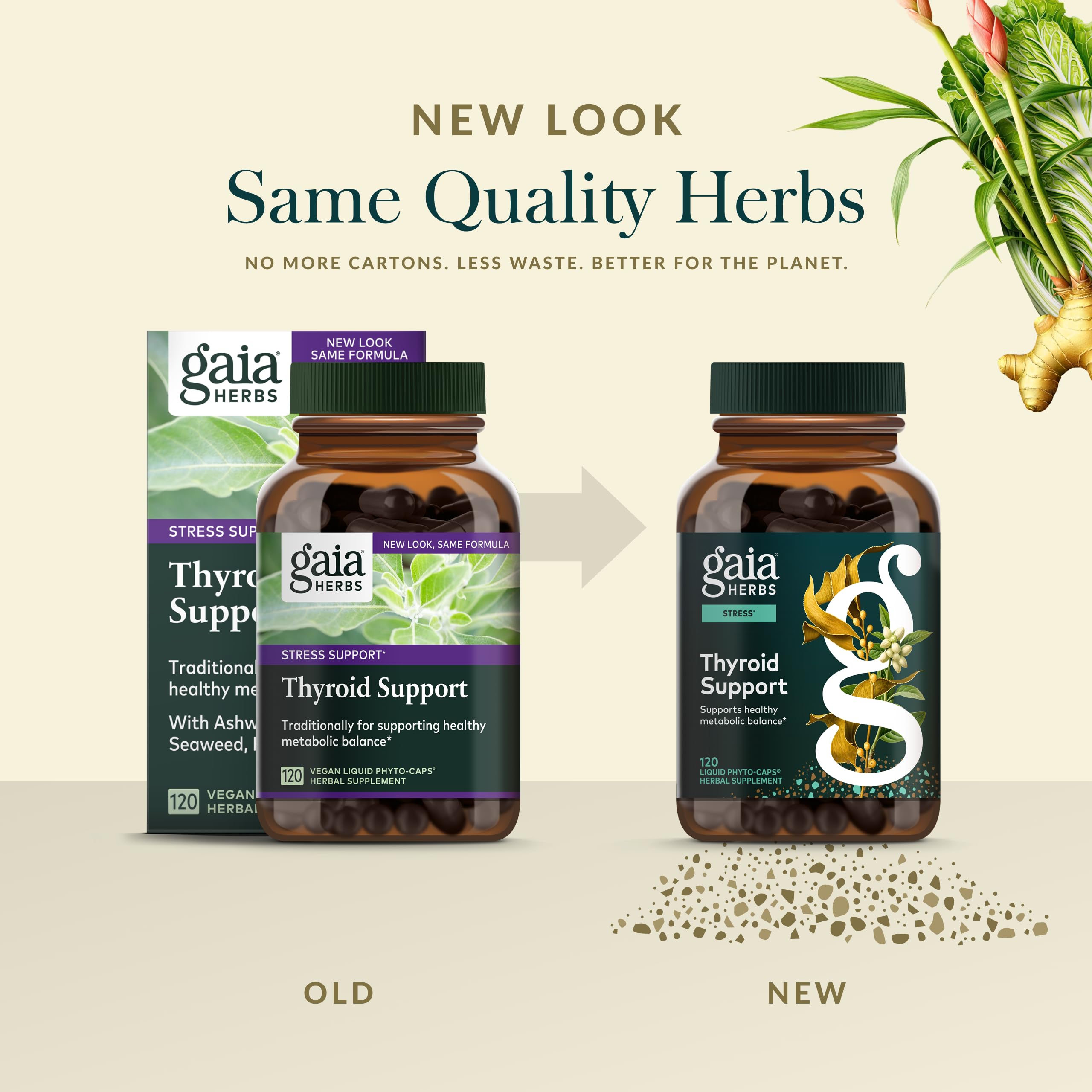 Gaia Herbs Thyroid Support, ingredientes clave como algas en ilustración.