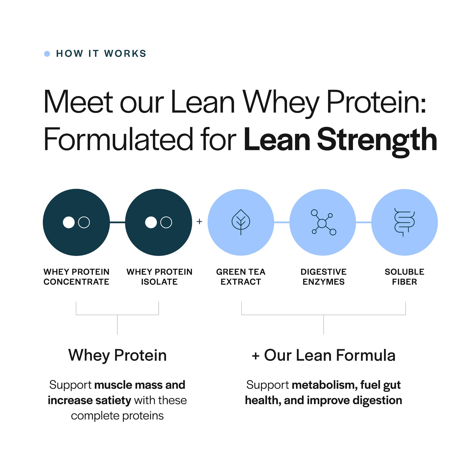 Gainful Lean Whey enzimas digestivas para una digestión más suave