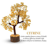 Gangesindia Arbol Citrino - brillos-luz: destellos cálidos para espacios acogedores