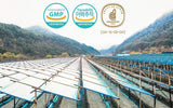 Gangwoninsam producido en Corea, Gangwon-do, garantía de origen