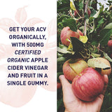Gomitas Garden of Life ACV con mezcla de fruta orgánica para sabor natural.