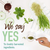 Garden of Life Alimento Perfecto Crudo Verde Chocolate sin OGM.