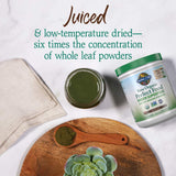 Garden of Life Alimento Perfecto Crudo Verde Chocolate, en vaso, mezcla suave y sabrosa.