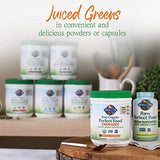 Garden of Life Energizer: libre de lactosa y apto para veganismo.