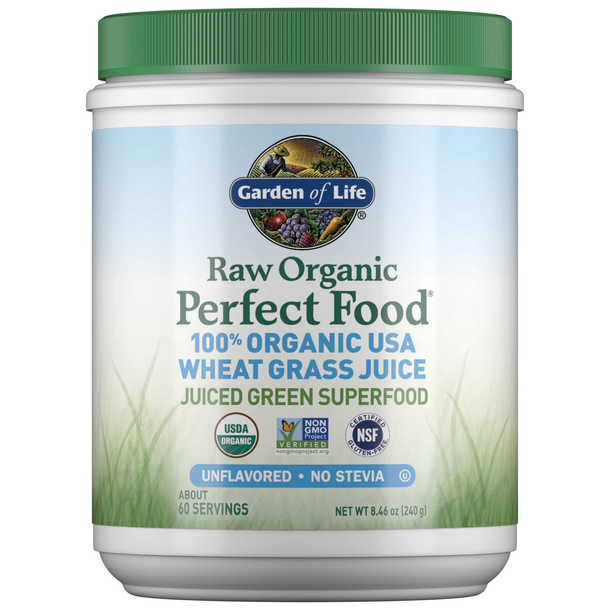 Garden of Life Raw Organic Perfect Food, jugo de hierba de trigo, energía verde para empezar el día