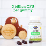 Garden of Life Kids Probiotic digestión e inmunidad: apoyo diario para el menor