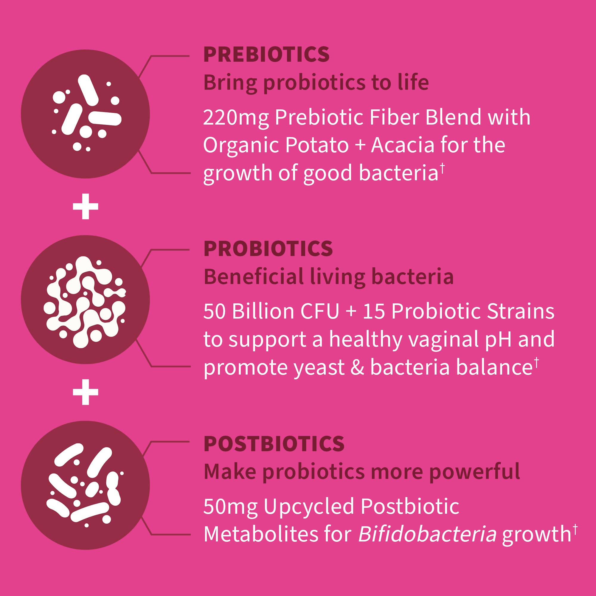 Garden of Life metabolitos postbióticos para favorecer Bifidobacterias.