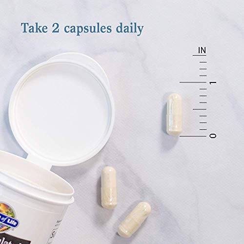 Garden of Life probióticos sin soja para alergias alimentarias