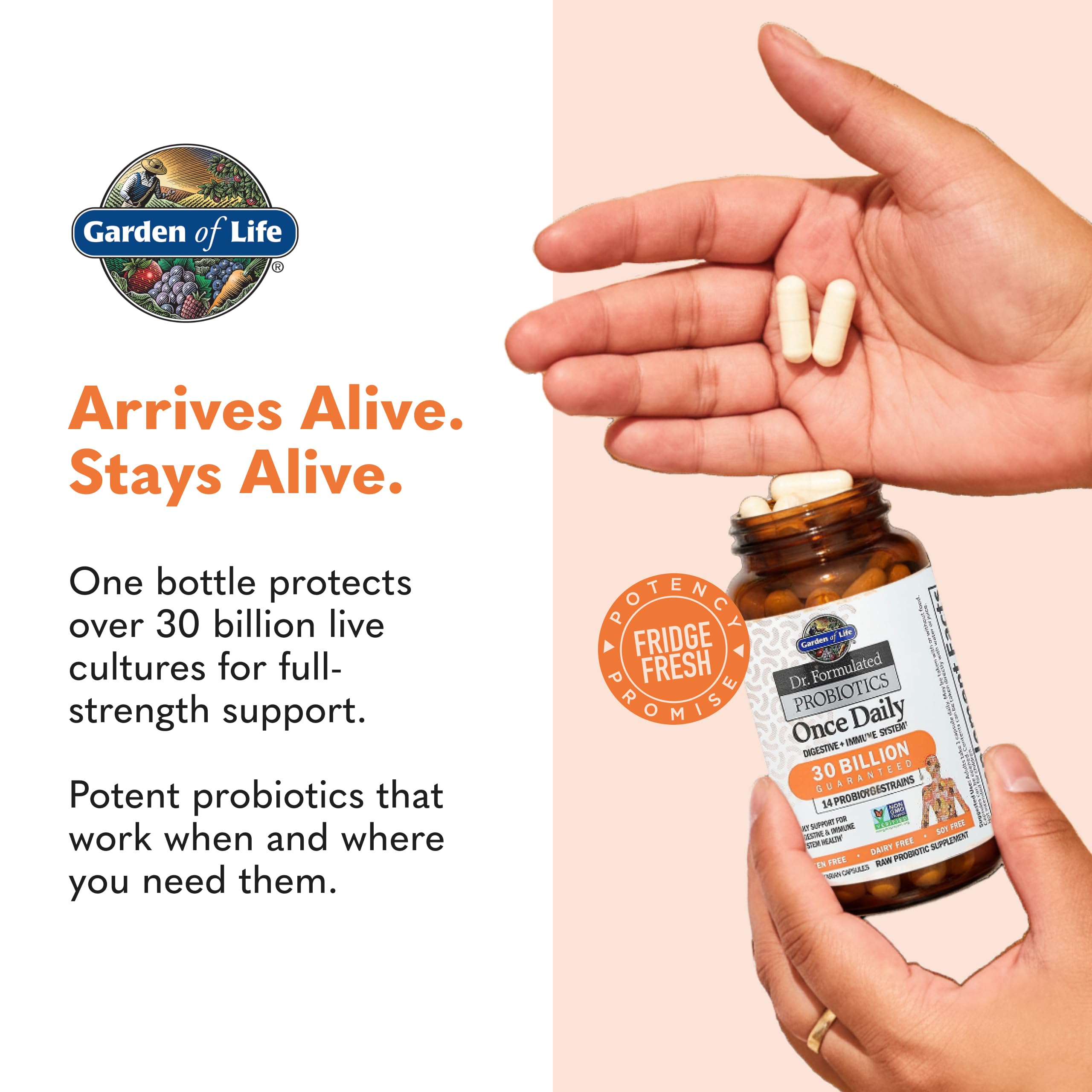 Garden of Life Probiotics instrucciones de uso para mayor comodidad diaria.