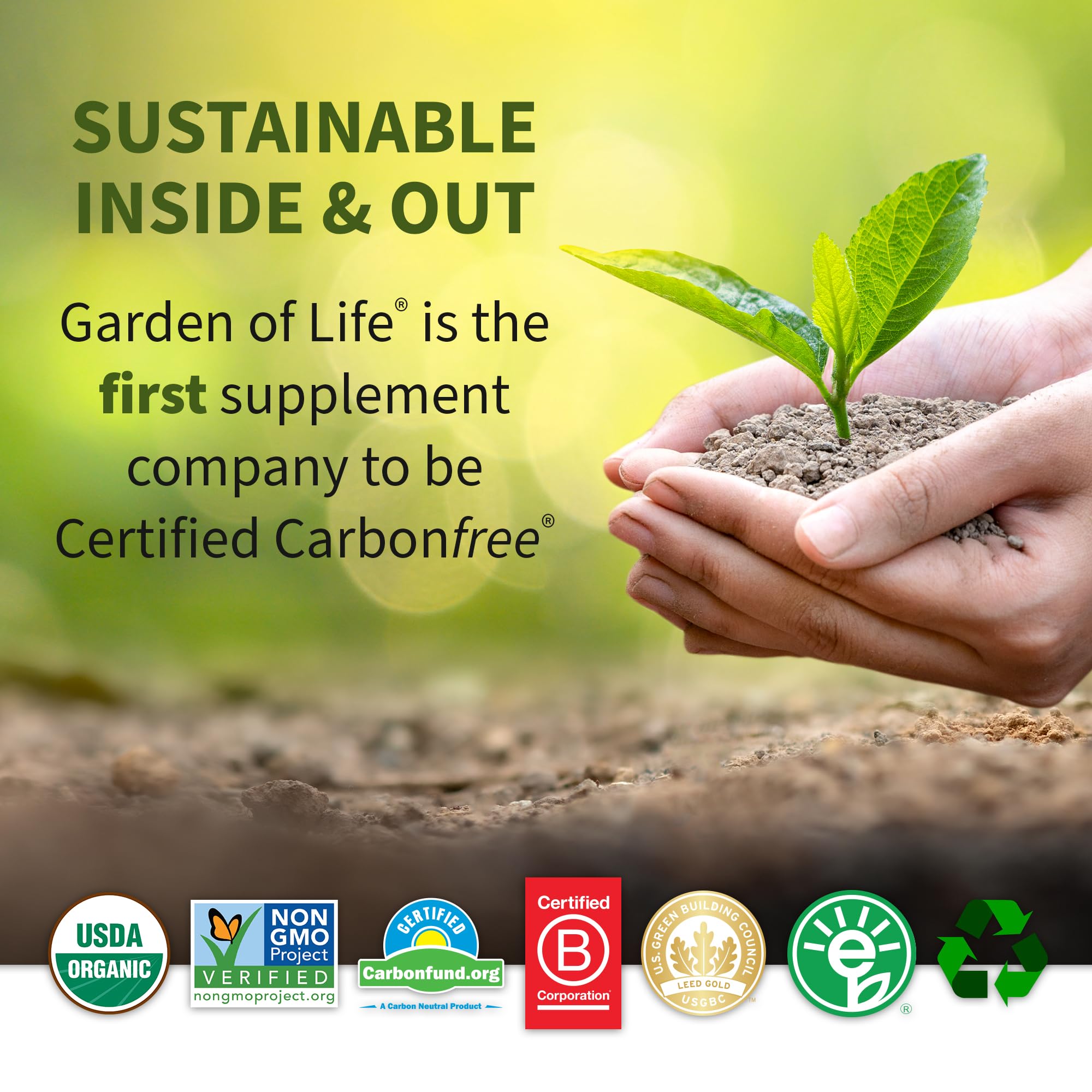 Garden of Life Raw B Complex, foco en energia y metabolismo
