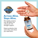 Garden of Life Raw Probiotics Men 50 & Wiser, libre de gluten para dietary restrictions.