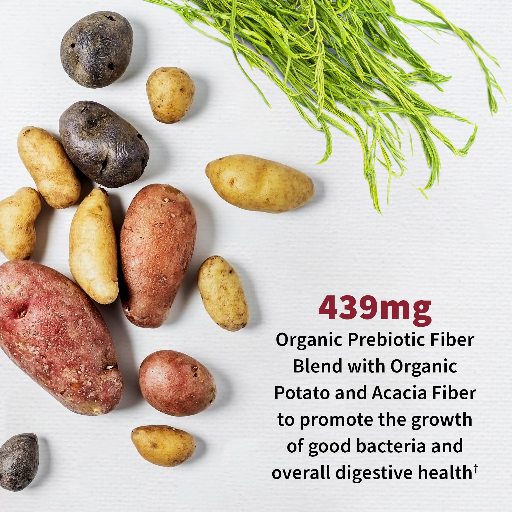 Garden of Life Urinary Tract+ uso diario en frasco estable.