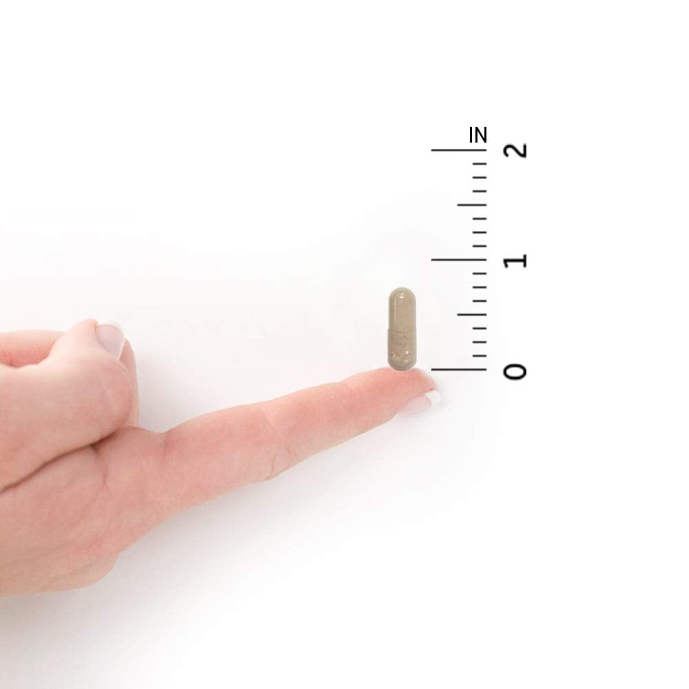 Garden of Life RAW ONE para hombres: libre de OGM y gluten