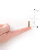 Garden of Life RAW ONE para hombres: libre de OGM y gluten