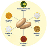 Equilibrio estrogenico visual con Testrol Gold ES para bienestar