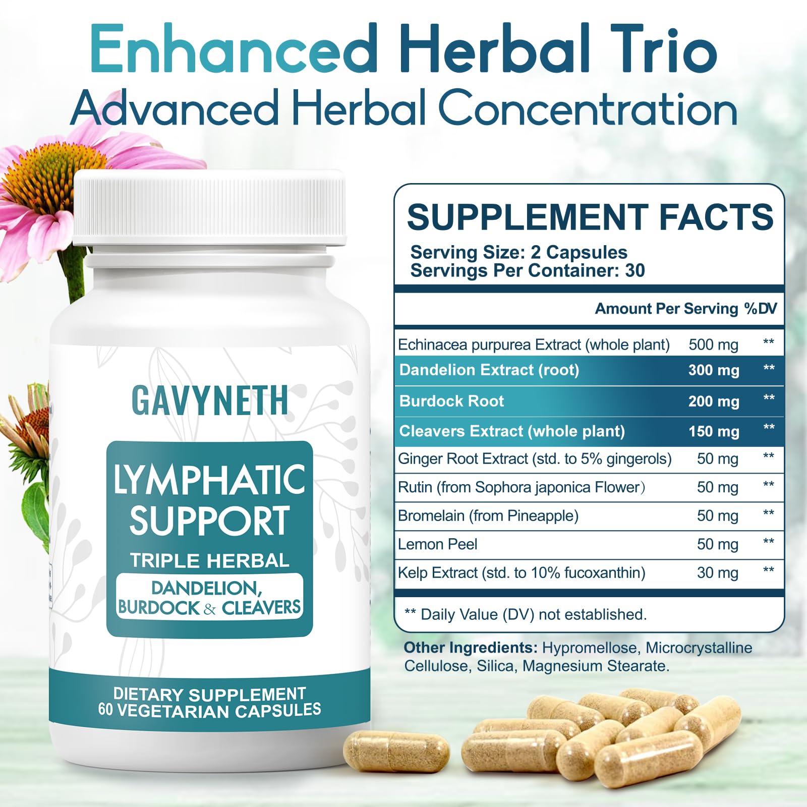 GAVYNETH Diente de león: ingrediente estrella para apoyo digestivo y balance circulatorio.