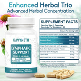 GAVYNETH Diente de león: ingrediente estrella para apoyo digestivo y balance circulatorio.