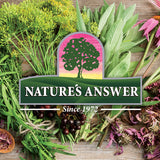 Nutrientes y hongos en Plant Head GLP-1 para bienestar general.
