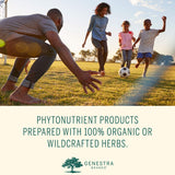 Genestra Phyto Greens Cápsulas, uso diario para apoyo nutricional dentro de la dieta.